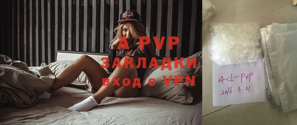 apvp Белокуриха