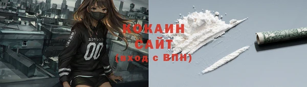 ГАЛЛЮЦИНОГЕННЫЕ ГРИБЫ Богданович