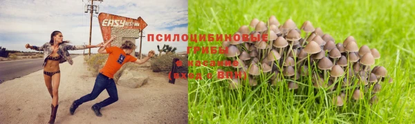 apvp Белокуриха
